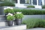 green basics campana 50cm living black